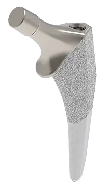 Stryker Insignia cementless femoral hip stem — lateral profile view showing porous proximal coating and polished tapered distal stem on transparent background