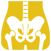 Hip and pelvis anatomy icon — white skeletal pelvis and lumbar spine illustration on gold background