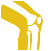 Knee joint anatomy icon — gold and white skeletal knee illustration on white rounded-square background