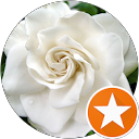 Rita O'Brien profile picture