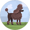 Grace Munger profile picture